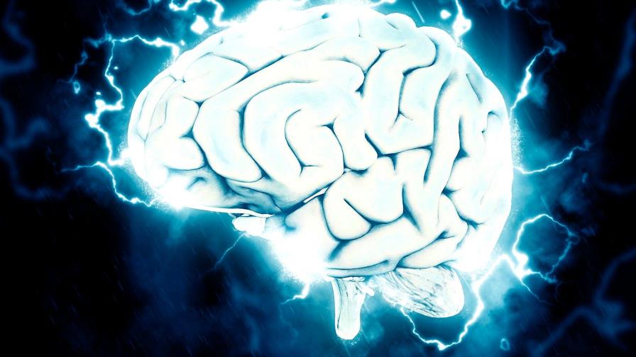 Descifrar el cerebro, el “reto científico” que implica a más 500 laboratorios Descifrar el cerebro, el “reto científico” que implica a más 500 laboratorios
