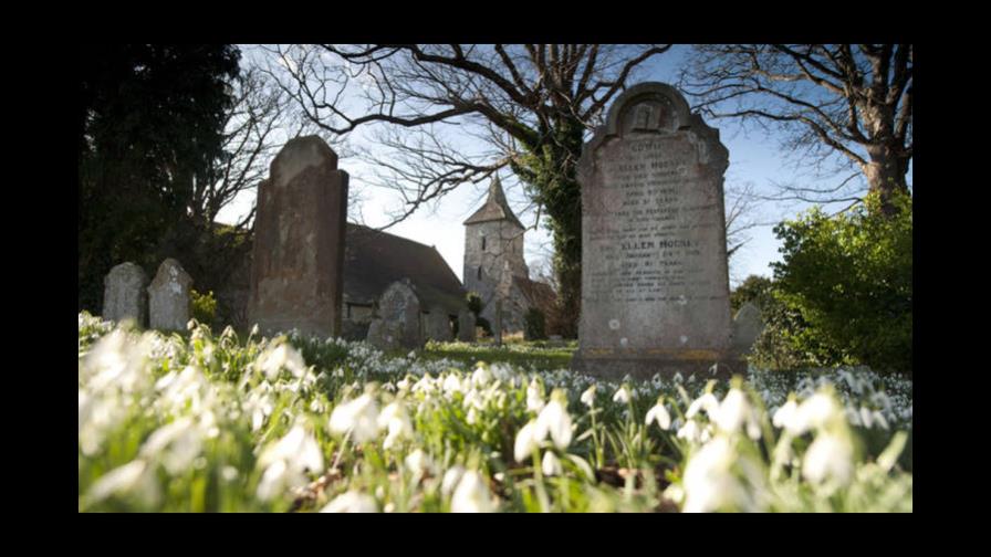 Abuelos entierran viva a su nuera para quedarse con sus nietos 