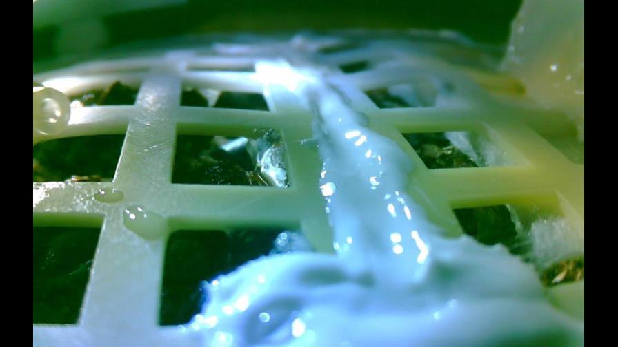 Muere la primera planta en brotar en la cara oculta de la Luna