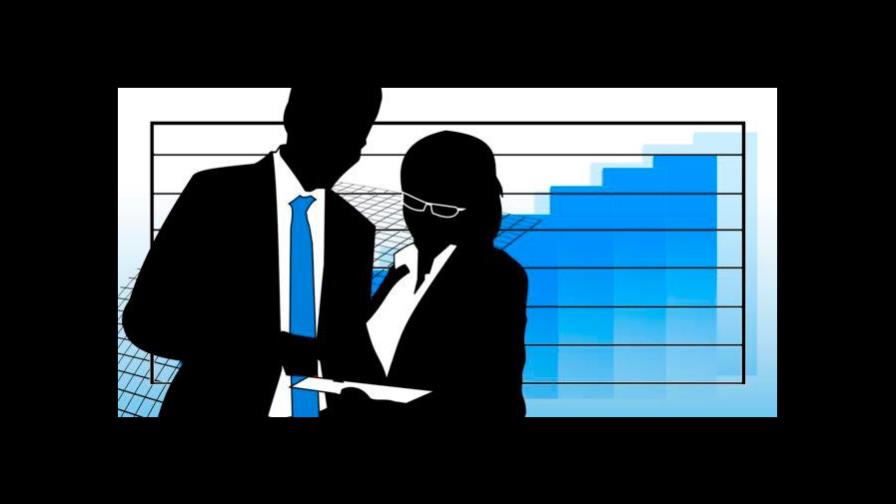 Expertise, alternativas en español