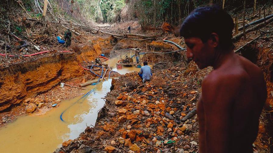 Proponen medidas para frenar comercio de oro extraído de reservas en Brasil Proponen medidas para frenar comercio de oro extraído de reservas en Brasil