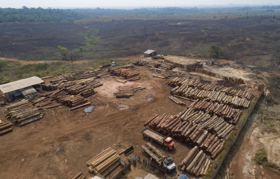 Brasil: Despiden a funcionaria tras aumento de deforestación