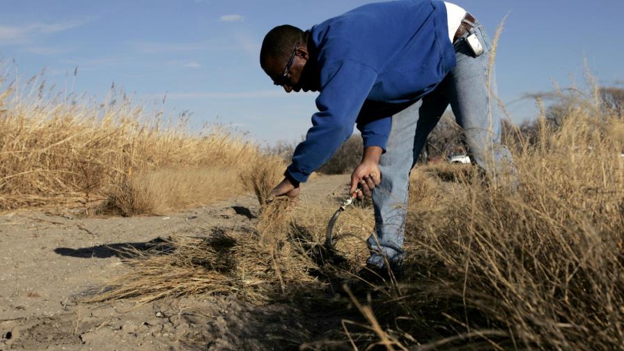 Ya casi no quedan agricultores afroamericanos en EEUU