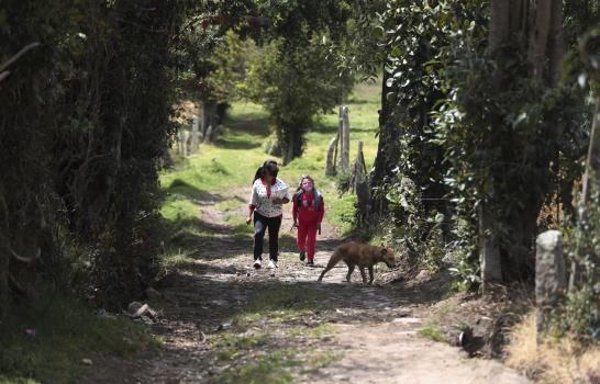 Biblioteca rural ayuda a niños sin internet en Colombia Biblioteca rural ayuda a niños sin internet en Colombia