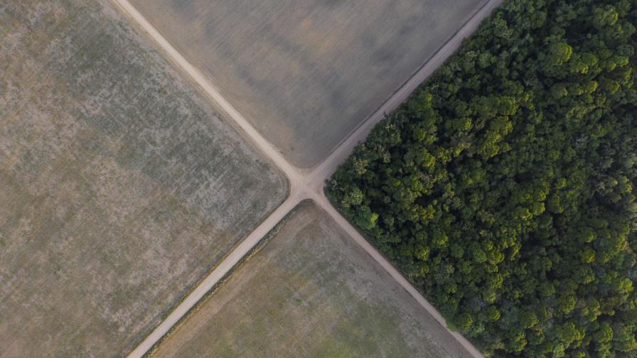 Empresas piden a Jair Bolsonaro un giro en materia de clima