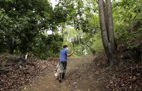 Panamá: Científicos enfrentan desafíos en pandemia