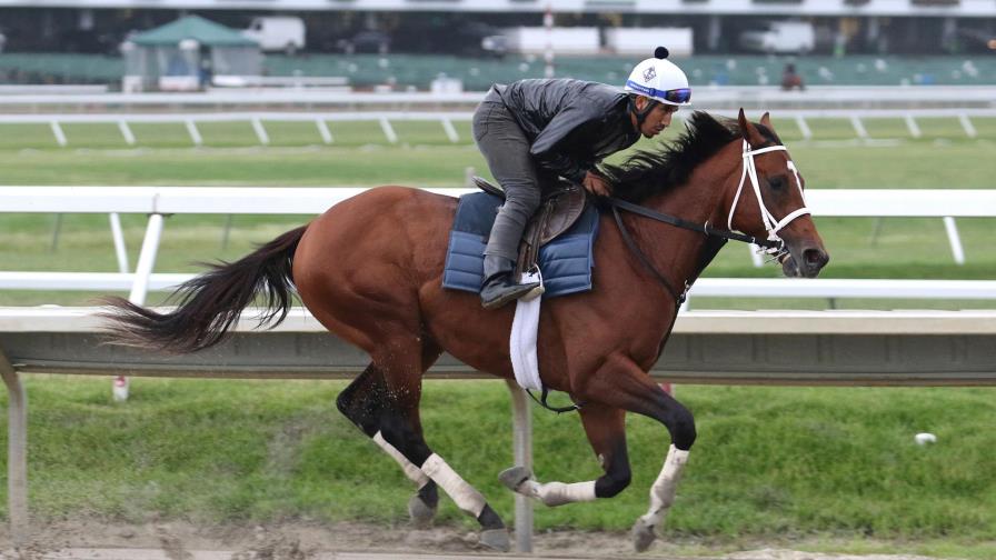 Maximum Security competirá por 1ra vez desde Kentucky