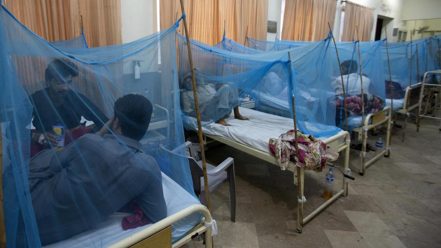 Pakistán combate uno de los peores brotes de dengue Pakistán combate uno de los peores brotes de dengue