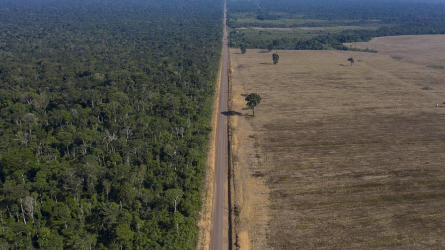 Aumenta la deforestación de la Amazonía brasileña