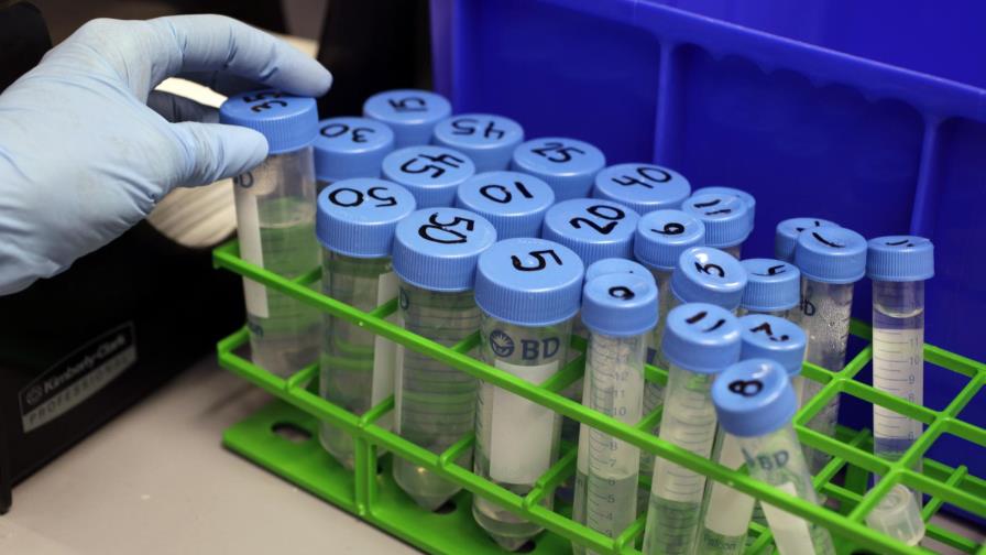 Nuevas normas permiten desarrollar embriones por más tiempo