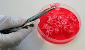 ¿Comerías un churrasco de laboratorio? La alternativa sostenible de un laboratorio