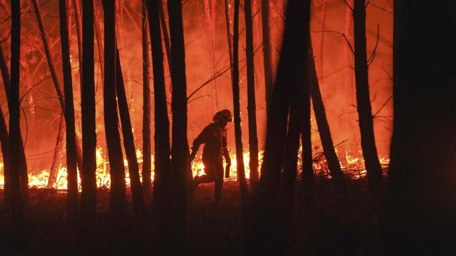 Portugal reporta gran progreso contra incendios forestales