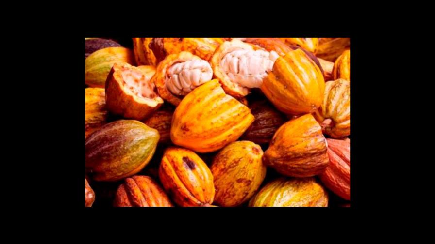 Dirigentes avanzan en creación de estrategia nacional de desarrollo agropecuario Dirigentes avanzan en creación de estrategia nacional de desarrollo agropecuario