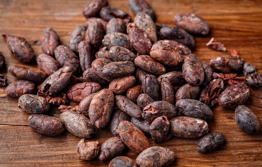 Del grano a la tableta, el cacao de Haití busca un lugar en el mercado