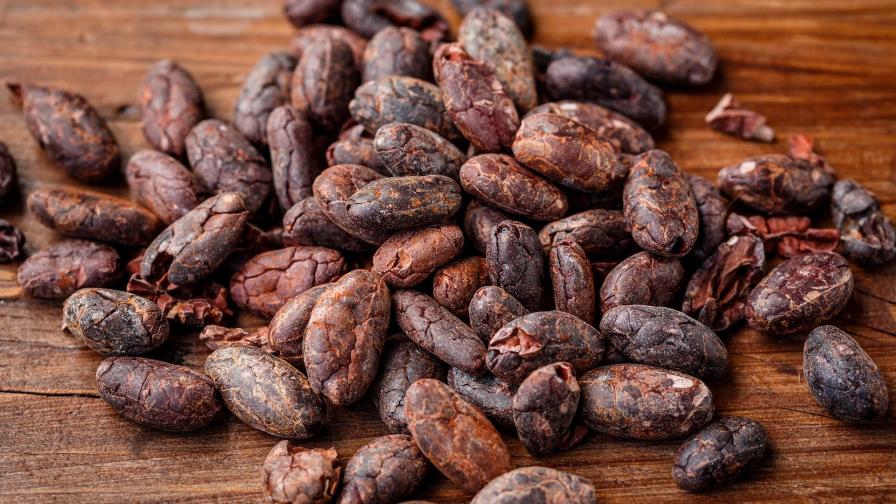 Del grano a la tableta, el cacao de Haití busca un lugar en el mercado Del grano a la tableta, el cacao de Haití busca un lugar en el mercado