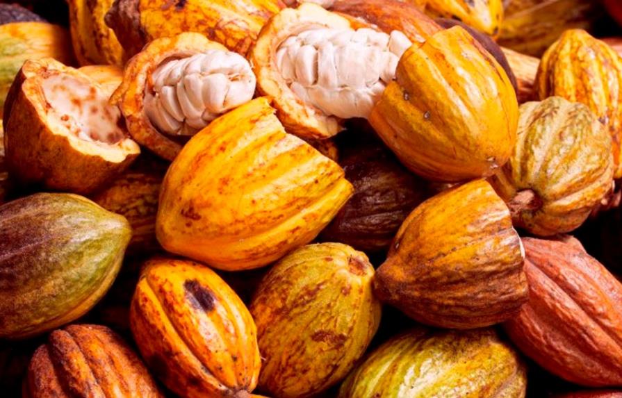 Brasil busca convertirse en referencia del mercado del cacao fino