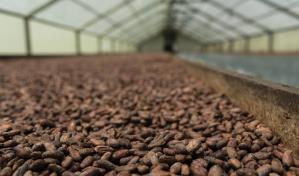 Cinco rubros concentran el 26 % de la cartera agropecuaria en el 2024