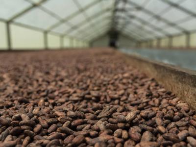 Arancel cero para productos de RD en EE. UU.