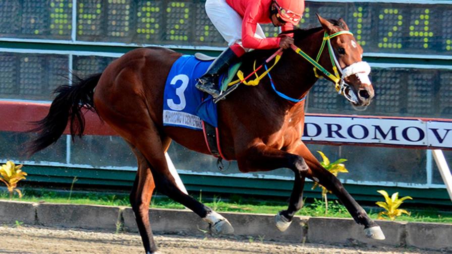 El Clásico de los Criadores se corre este sábado en el hipódromo V Centenario