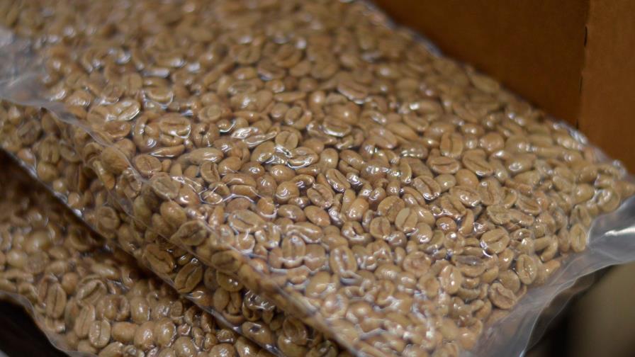 Buscan sector cafetero sea autosuficiente para el consumo nacional y para la exportación