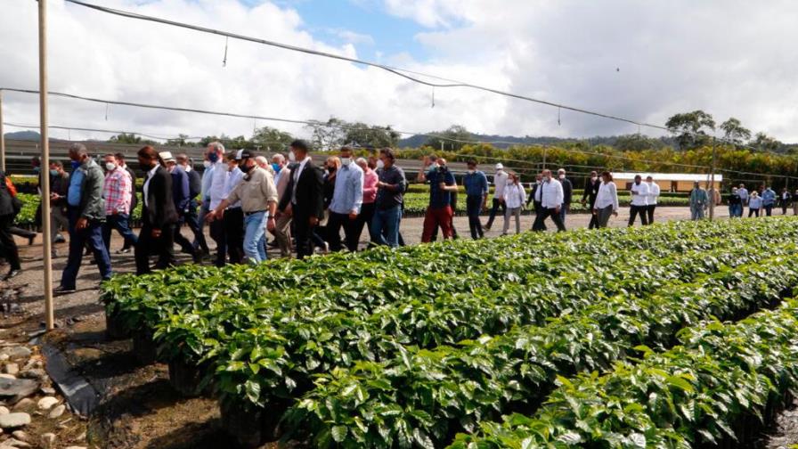 Gobierno financiará RD$1,000 millones a tasa cero a productores de café Gobierno financiará RD$1,000 millones a tasa cero a productores de café