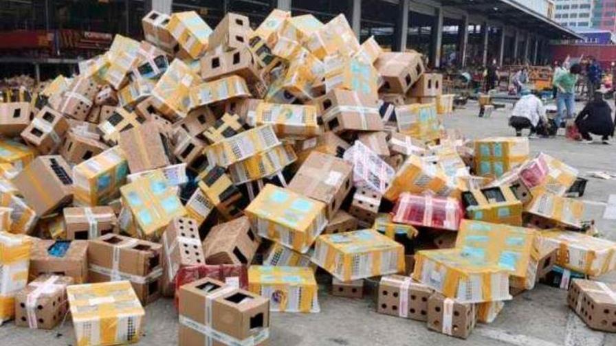Encuentran 5,000 mascotas muertas y empaquetadas en una empresa china