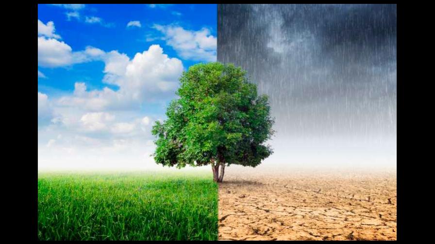 China llega a la COP25 para liderar la lucha climática ante la huida de Estados Unidos