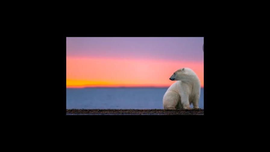 Piden medidas urgentes para el clima
