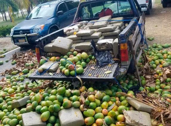 Una destartalada camioneta cargada de mangos llevaba droga en Barahona 