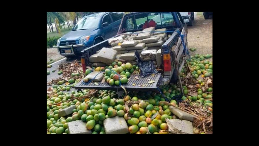 Una destartalada camioneta cargada de mangos llevaba droga en Barahona Una destartalada camioneta cargada de mangos llevaba droga en Barahona