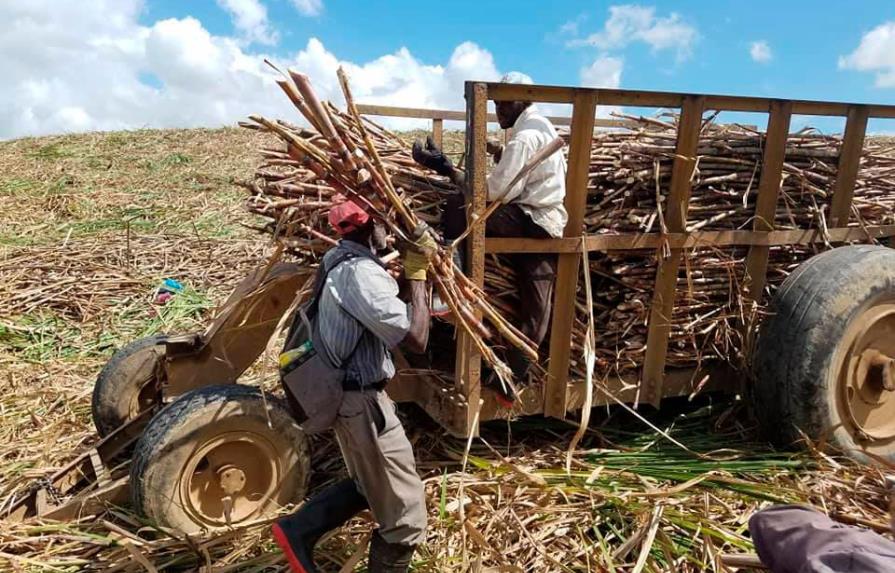 Denuncian campaña de descrédito contra la industria azucarera dominicana