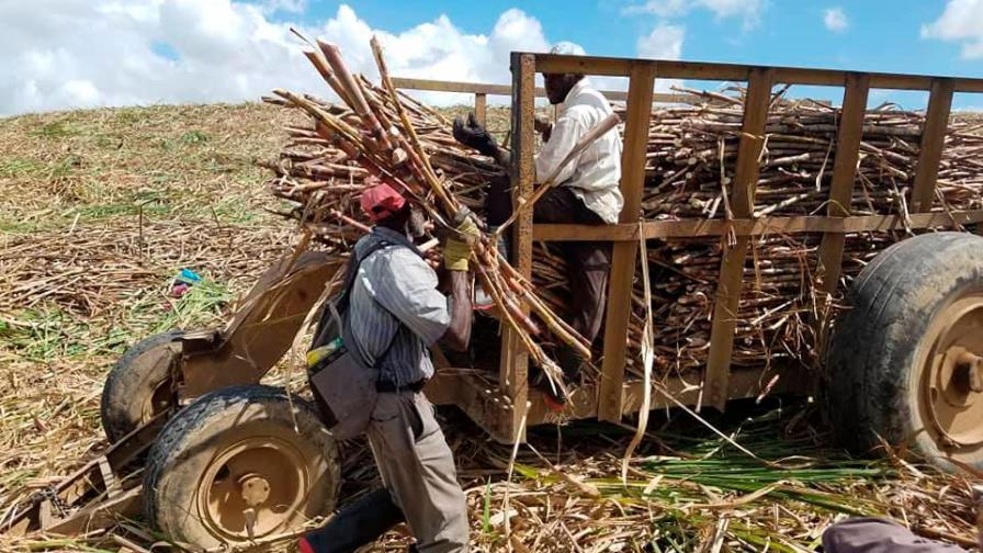 Denuncian campaña de descrédito contra la industria azucarera dominicana