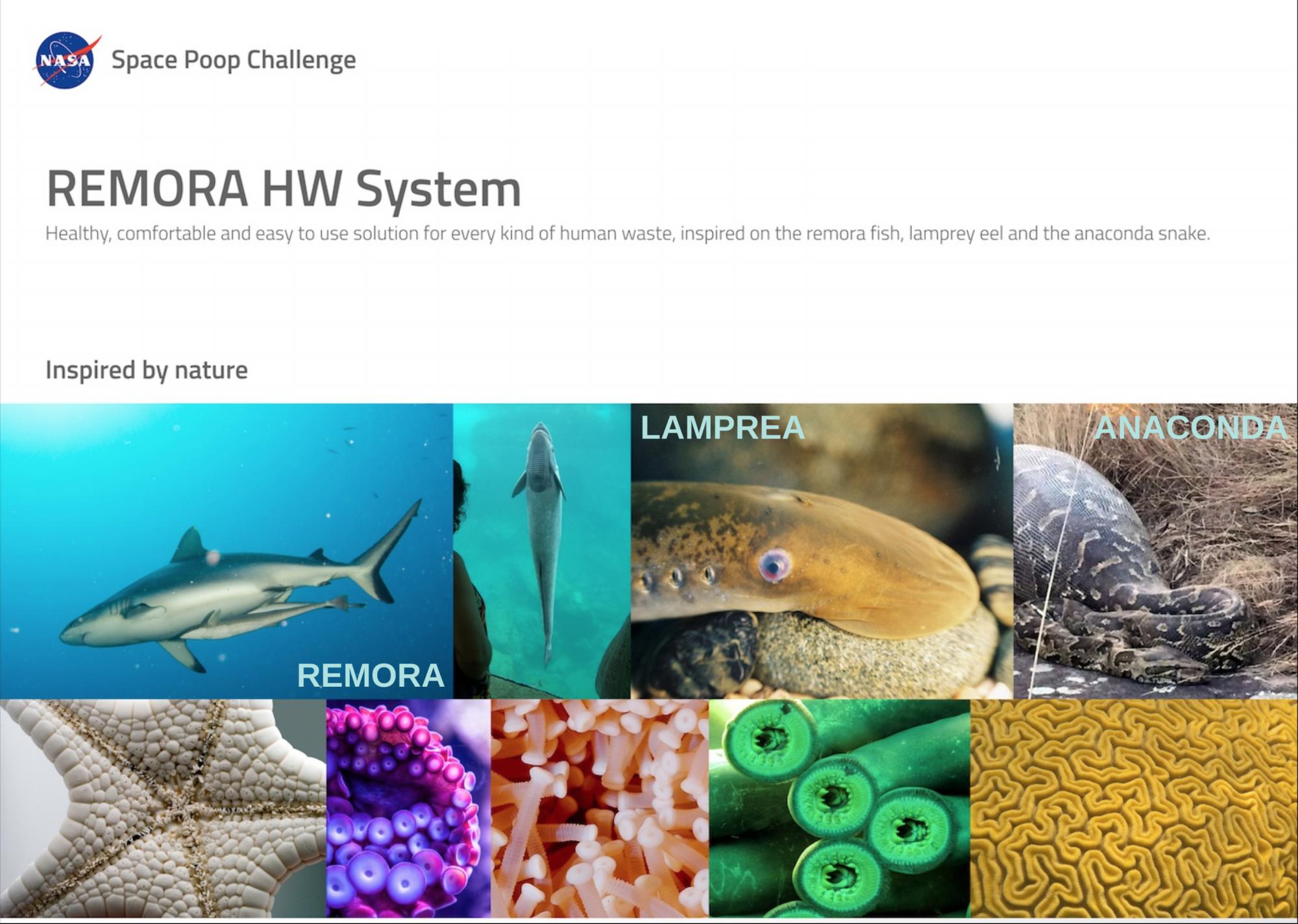 Así luce el dispositivo ganador.