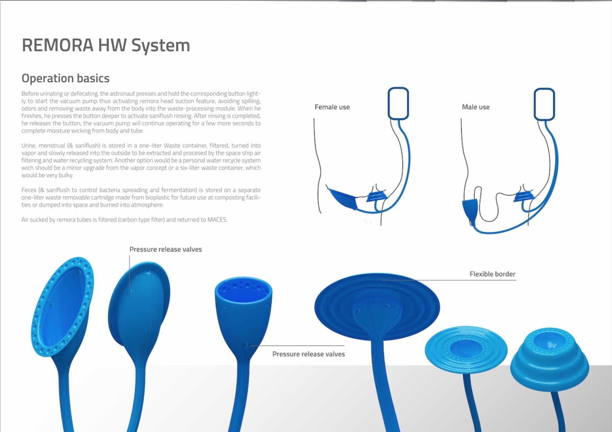 Las ventosas son inspiradas en la rémora y las lamperas.