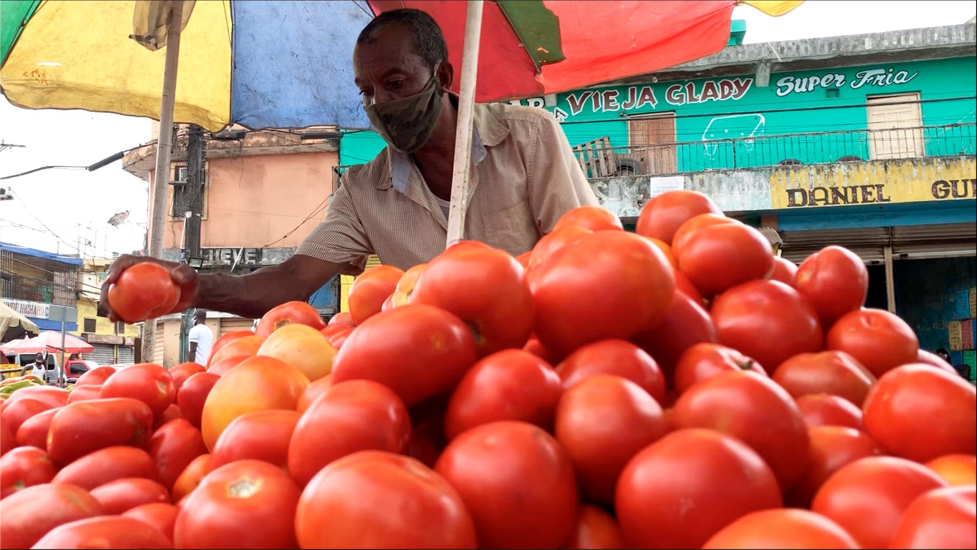 Manuel Ramírez mientras arregla unos tomates.