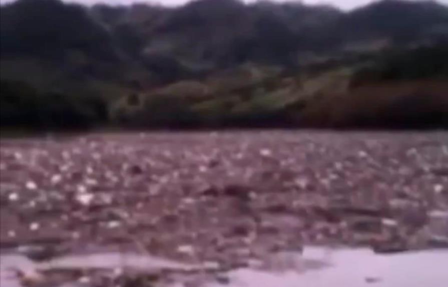 Video | Lluvias arrastran gran cantidad de plásticos hacia cuenca del río Yaque del Norte