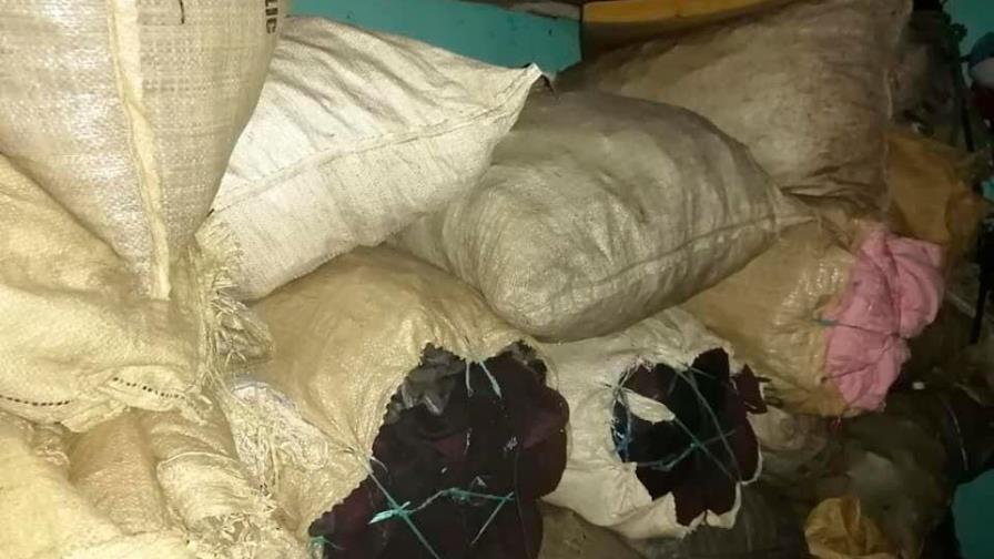 Autoridades incautan 41 sacos de carbón vegetal en El Seibo 