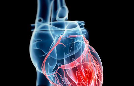 Día Mundial de                     la Falla Cardiaca