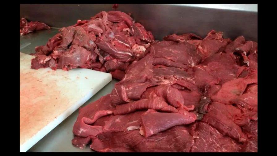 Cae una red clandestina que vendía carne de caballo a restaurantes en Brasil