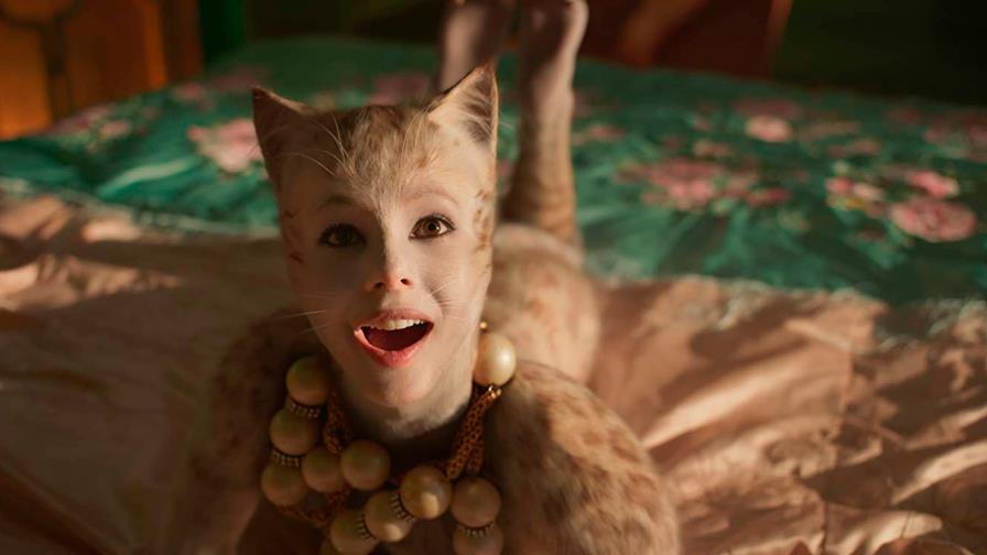 Los exóticos felinos van a la gran pantalla 