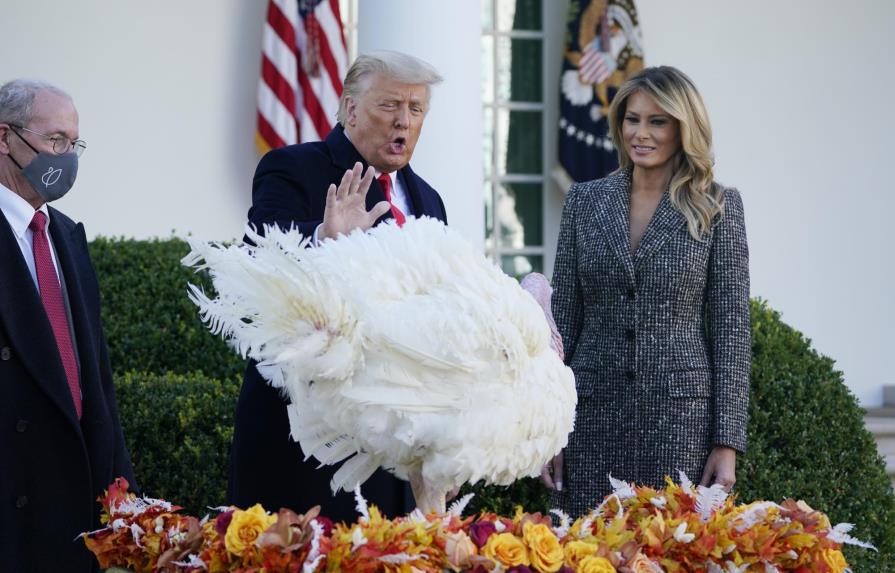 Trump indulta a pavo por Día de Acción de Gracias
