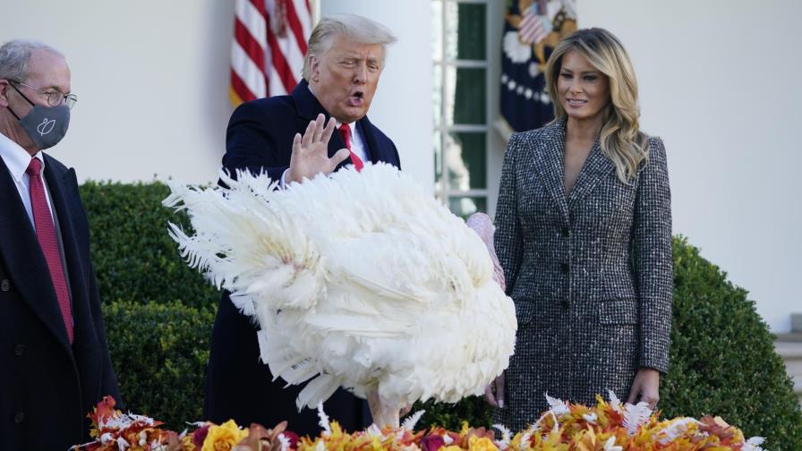 Trump indulta a pavo por Día de Acción de Gracias