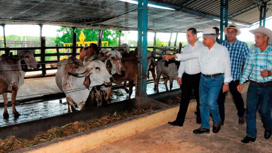 CEA y Agricultura acuerdan expandir producción bovina