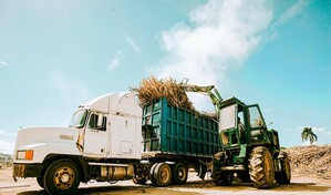 La industria azucarera dominicana mejora con el duro trabajo de los jornaleros haitianos