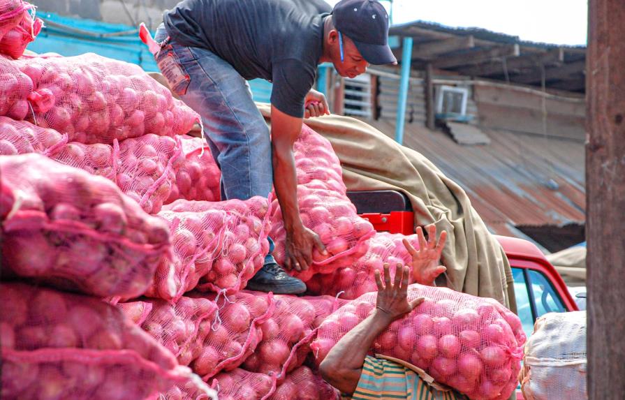 Productores de cebolla se quejan de las importaciones