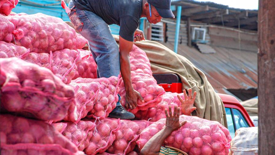 Productores de cebolla se quejan de las importaciones