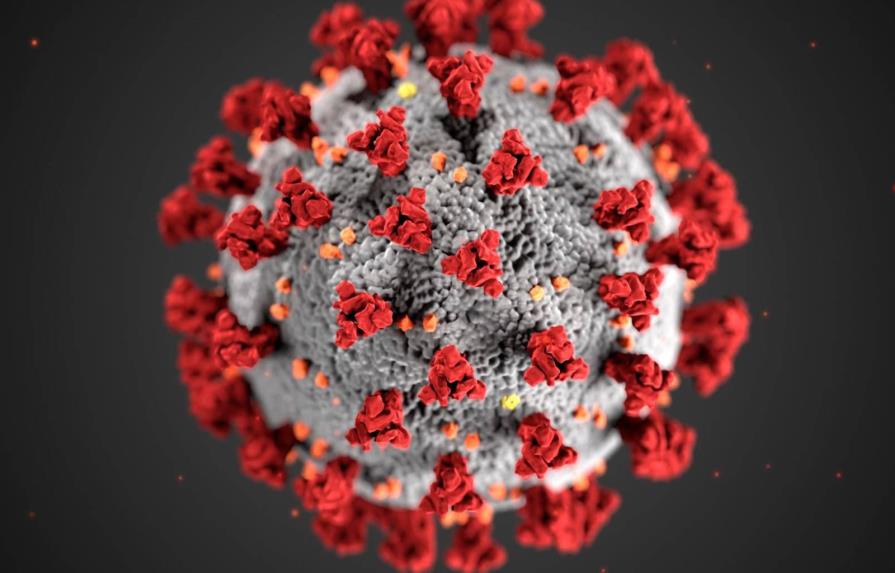 Siete meses después, el coronavirus sigue siendo un enigma