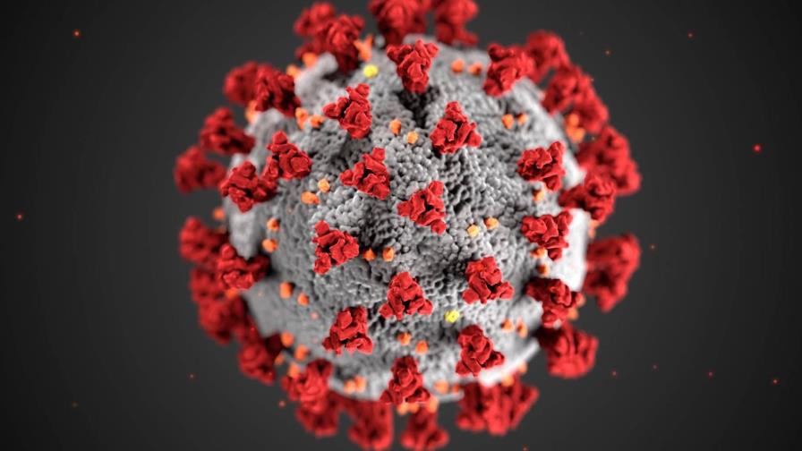 Siete meses después, el coronavirus sigue siendo un enigma Siete meses después, el coronavirus sigue siendo un enigma