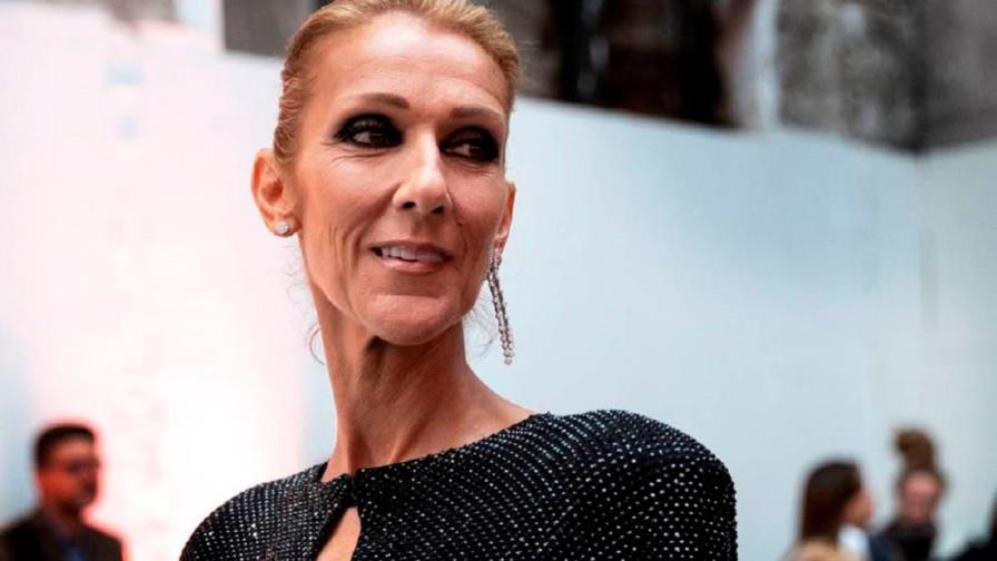 Celine Dion, Cher y Pitbull se unen a la campaña de la ONU ‘Call for Code’