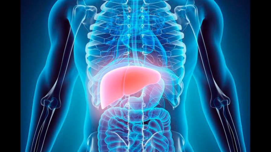 Un estudio sugiere un posible vínculo entre el hígado y el alzheimer